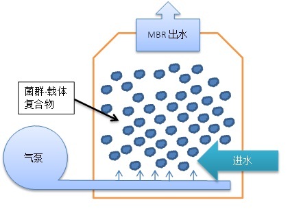 生物环保