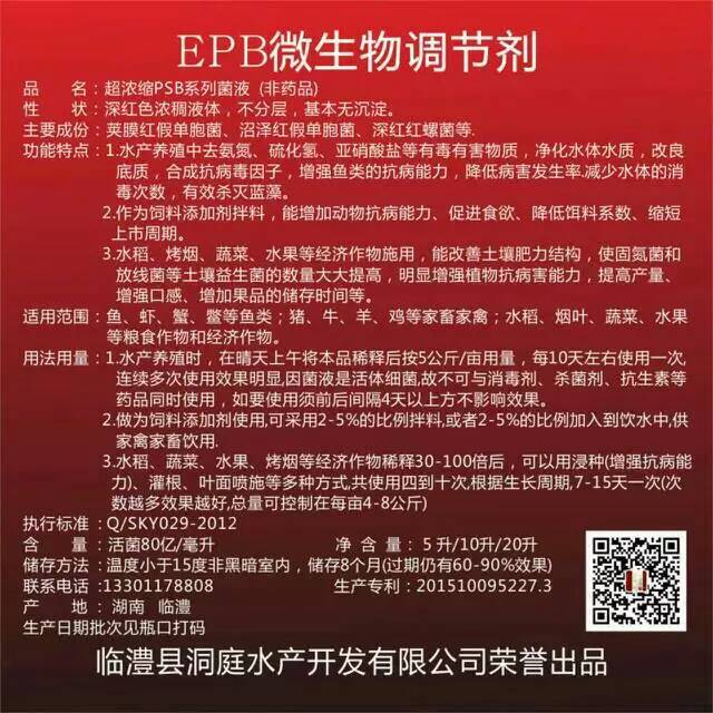 菌大大微生物菌