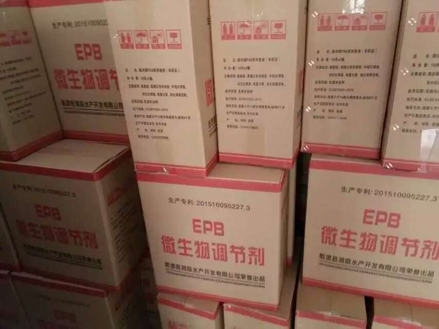 菌大大微生物菌